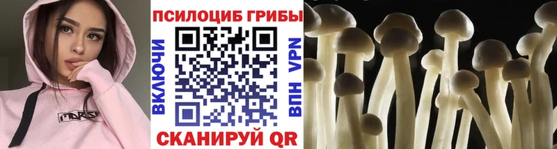 Галлюциногенные грибы мухоморы  Уссурийск 